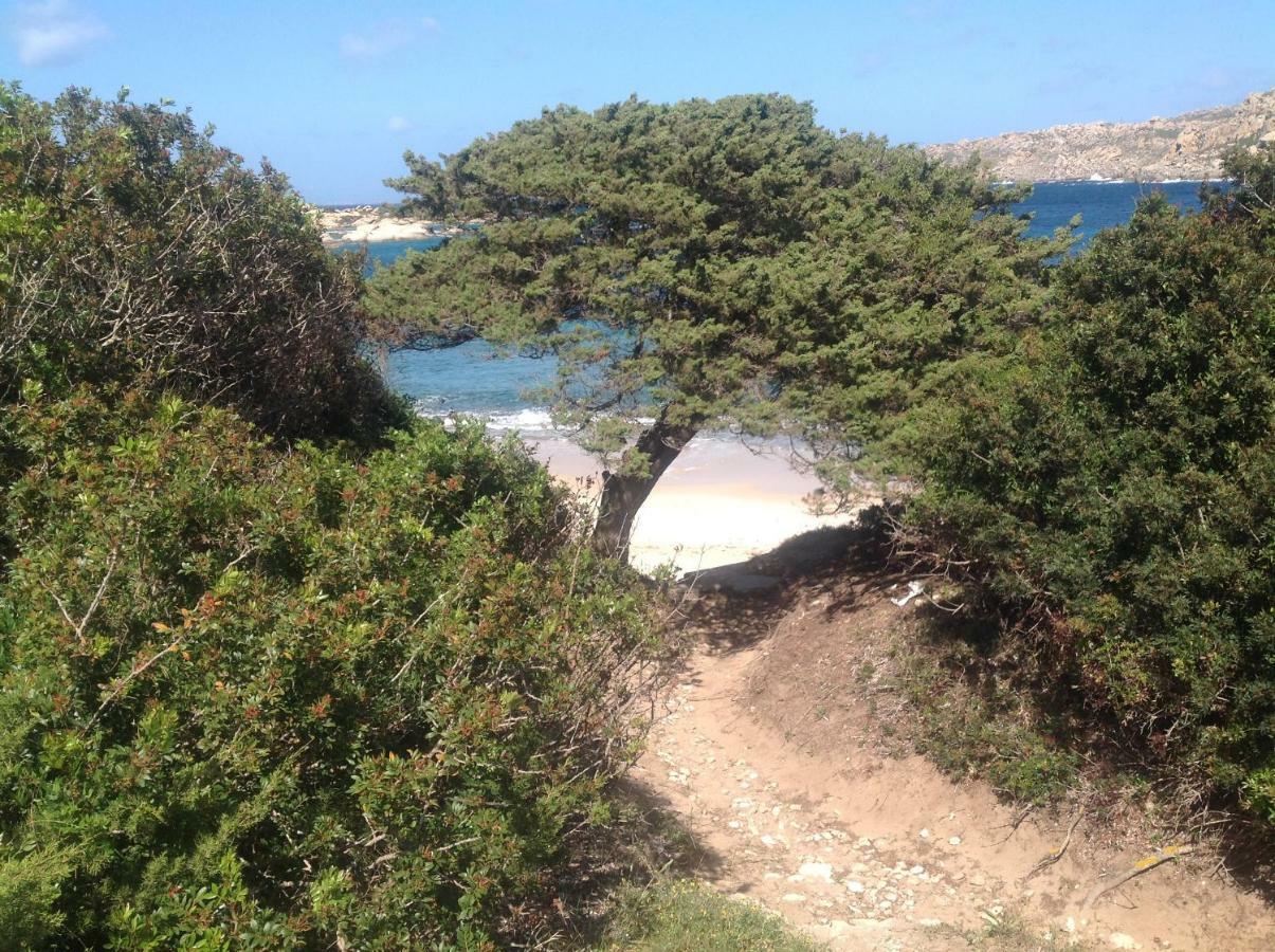 Apartament Stella Maris Santa Teresa Gallura Zewnętrze zdjęcie