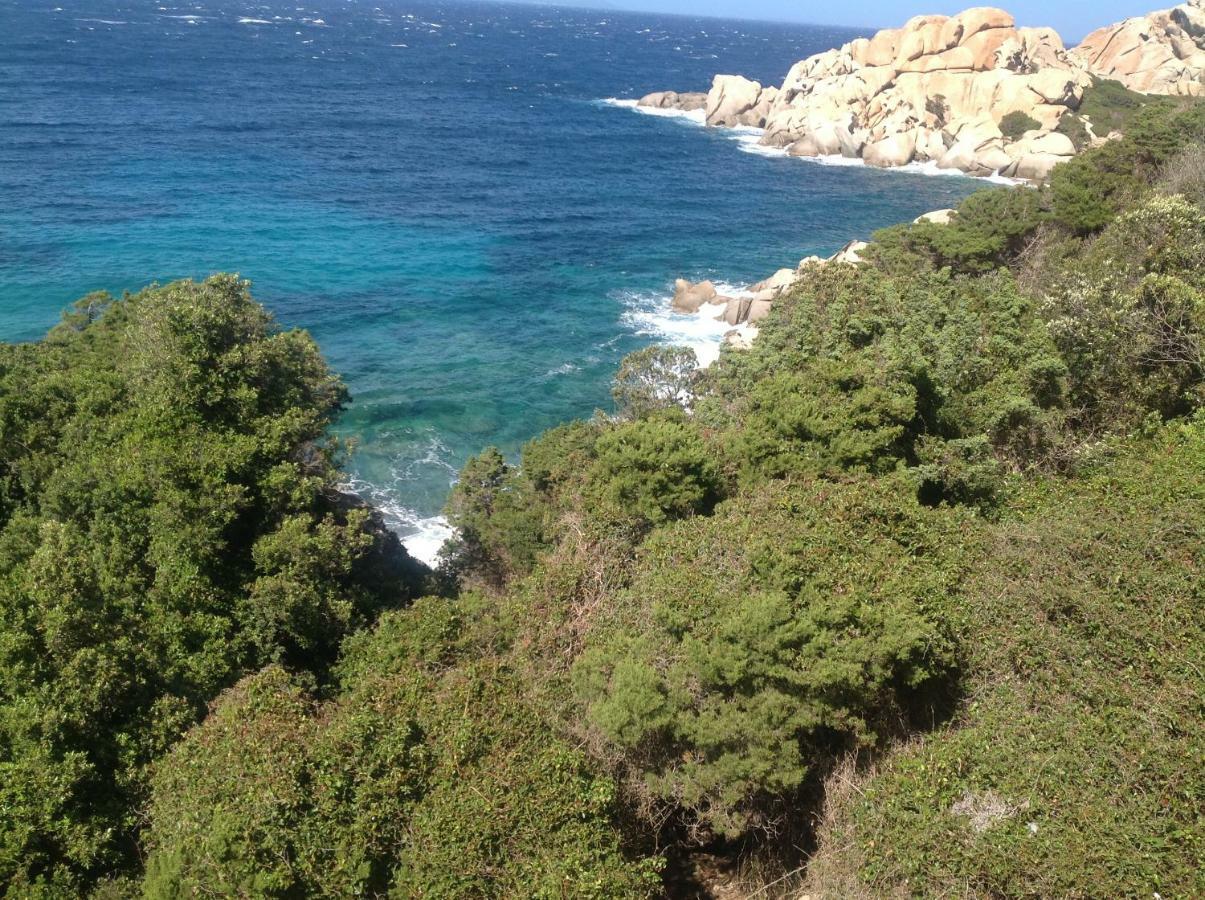 Apartament Stella Maris Santa Teresa Gallura Zewnętrze zdjęcie